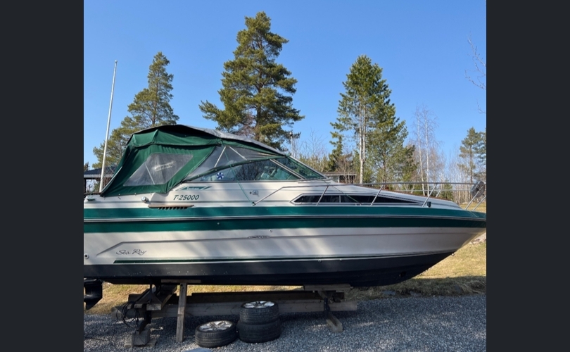 Sea Ray 250-kuva-5